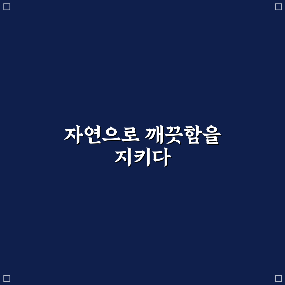 베이킹소다 세탁조 청소 5포인트 핵심가이드와 효과 분석