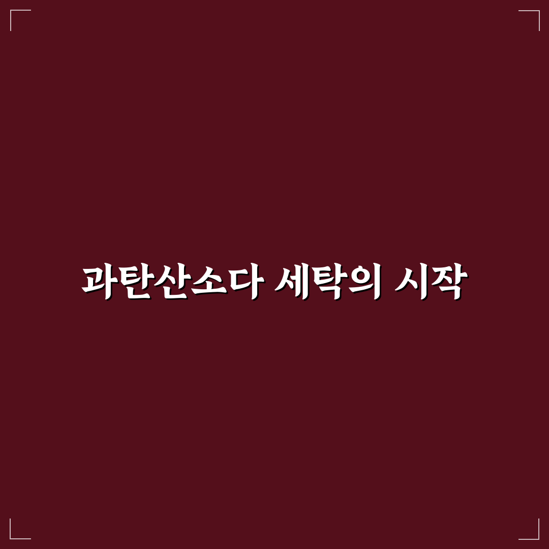 과탄산소다 세탁 활용법 5가지 체크포인트 총정리