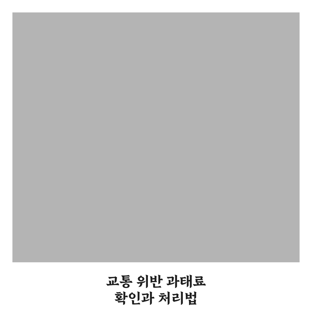 교통 범칙금 조회 납부 핵심가이드 5가지 체크포인트 분석
