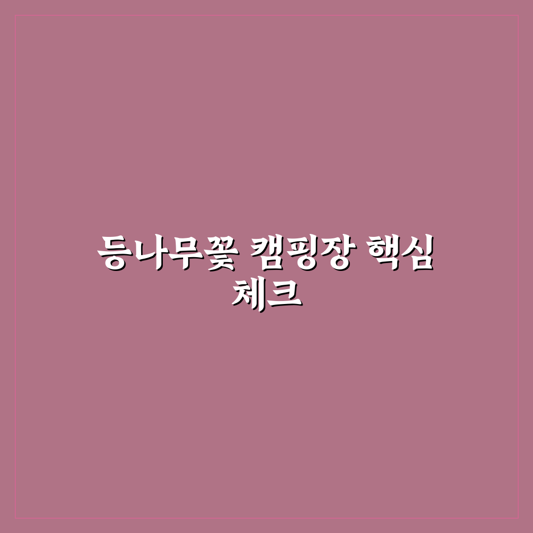 등나무꽃 캠핑장 선택 가이드와 주요 비교 포인트 총정리