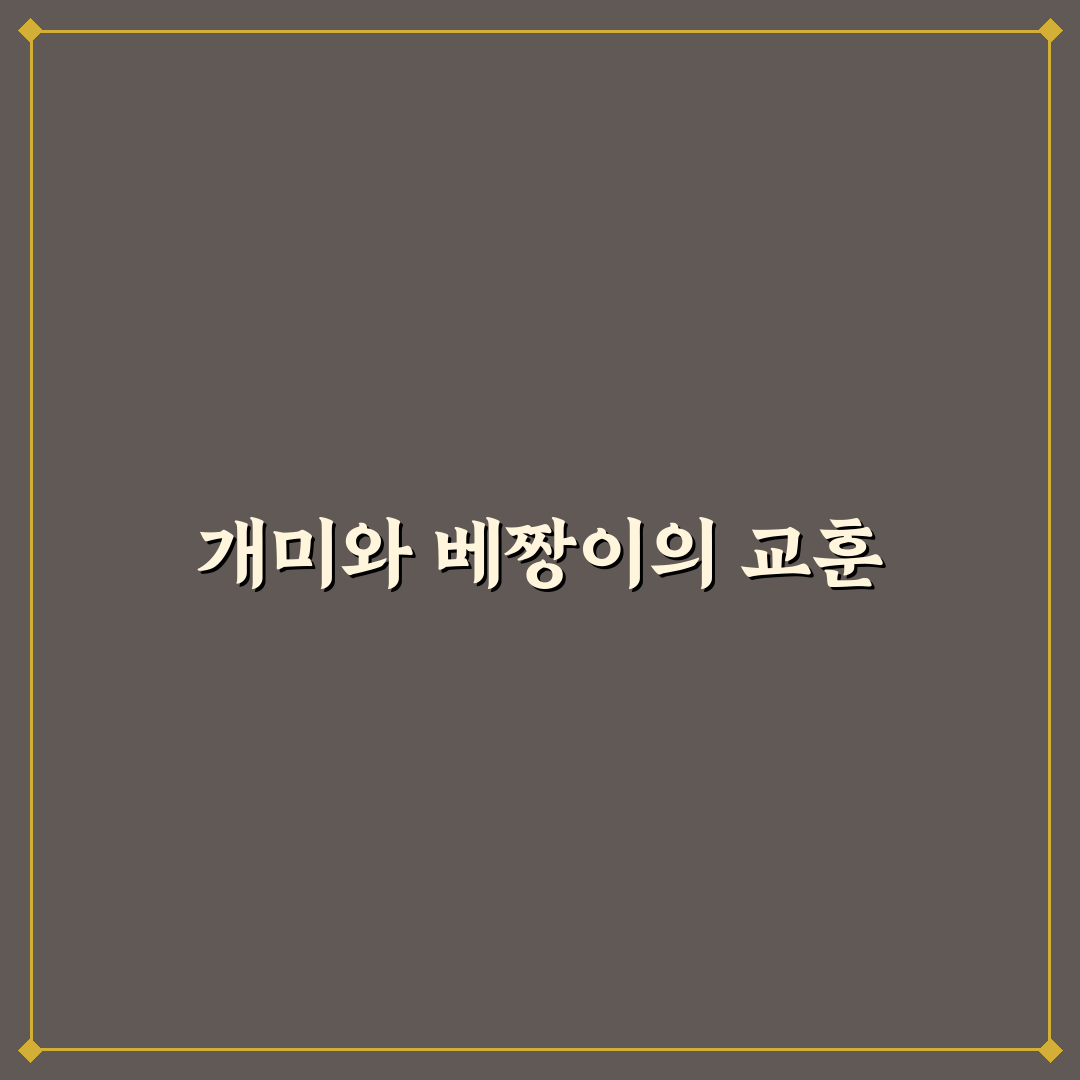 개미와 베짱이 전주 비교와 주요 차이점 분석 가이드