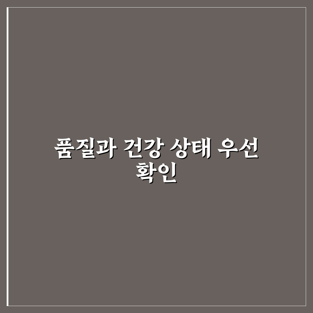 망고참외 모종 비교와 키우기 기준 5가지 총정리