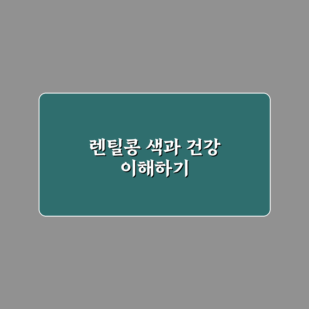 렌틸콩 색깔별 효능 비교와 활용 가이드 총정리