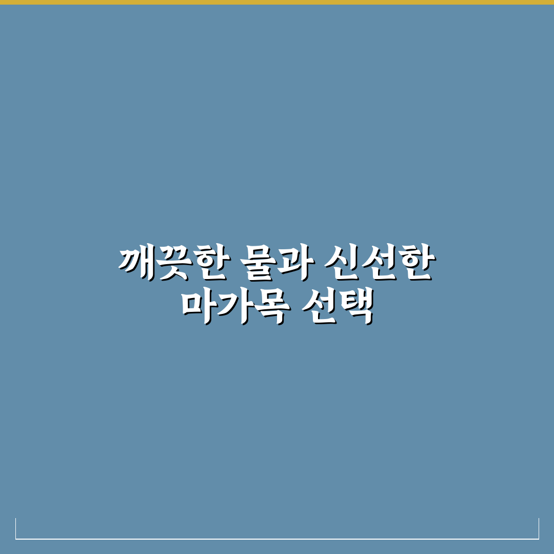 마가목 물끓이는방법 5가지 기준별 효과 비교와 분석