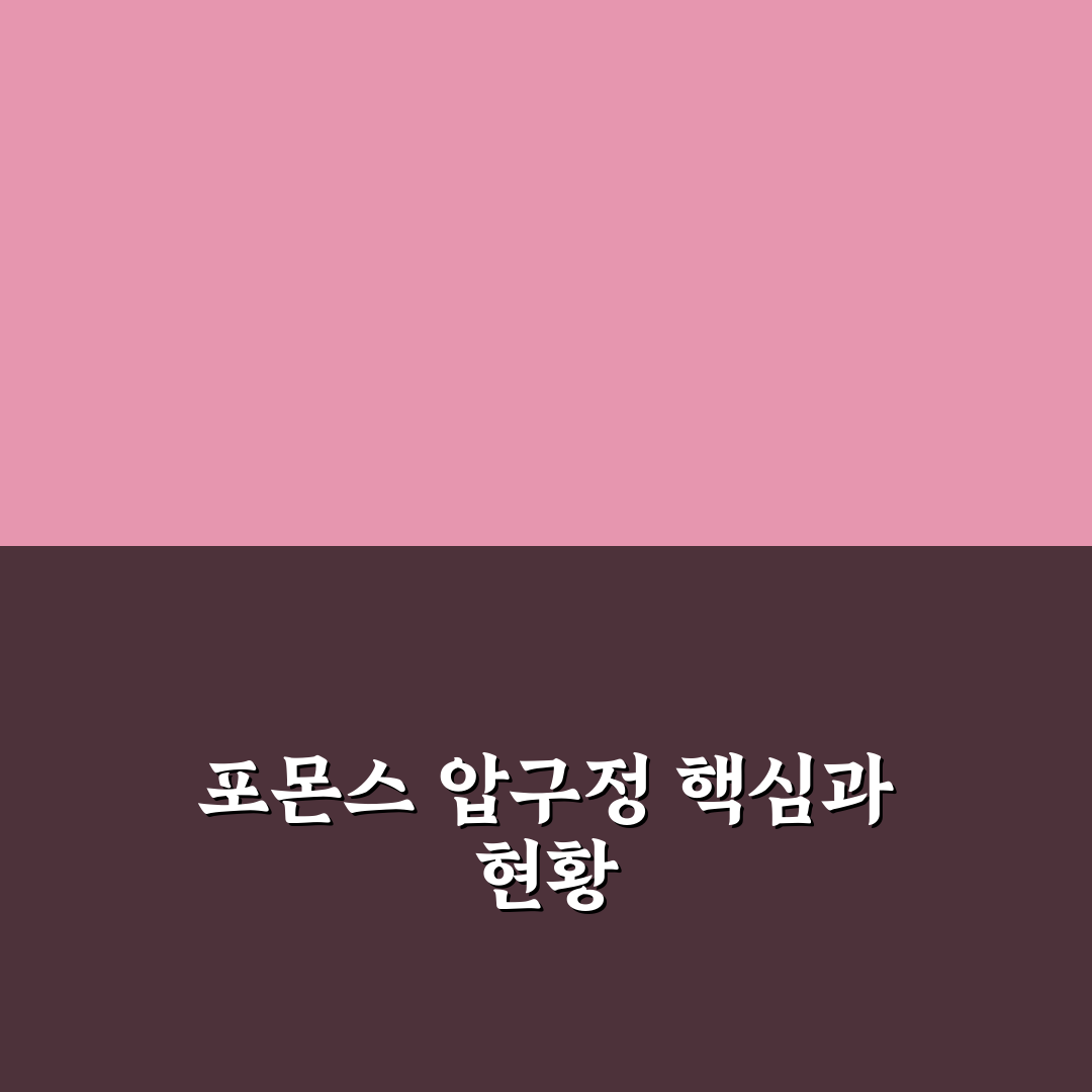 포몬스 압구정 비교와 선택을 위한 5가지 체크포인트