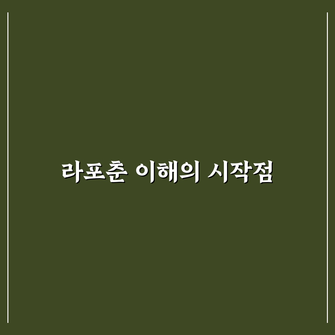 라포춘 비교와 분석을 통한 핵심 판단 기준 5가지