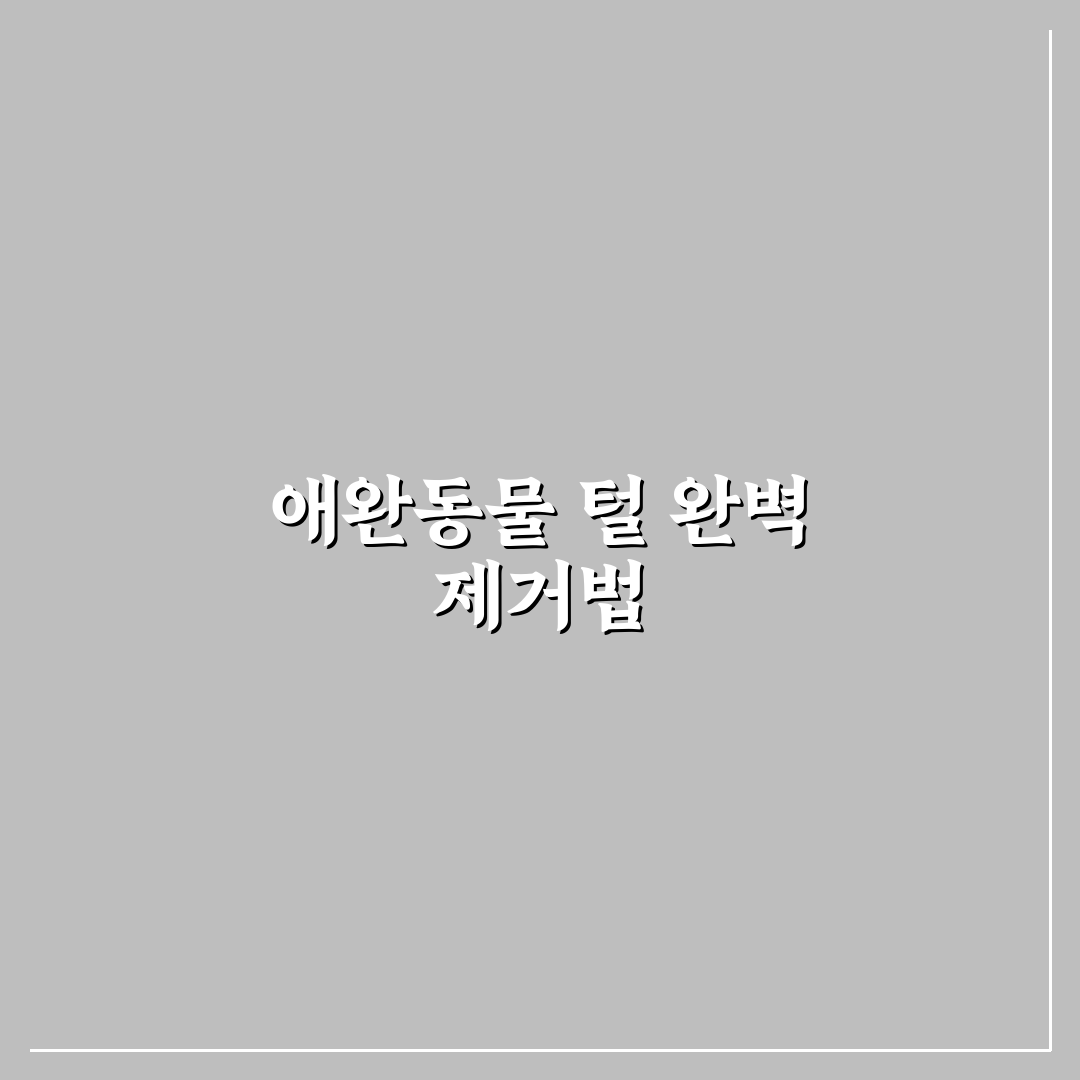 애완동물 털 제거 세탁 5가지 핵심가이드와 효과 비교
