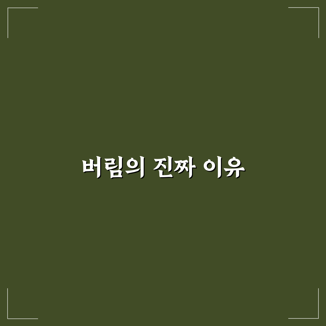 버리지 못하는 병 고치기 5가지 핵심가이드와 판단 체크포인트