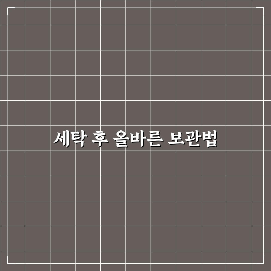이불 빨래 수납 요령 핵심가이드와 5가지 체크포인트 총정리