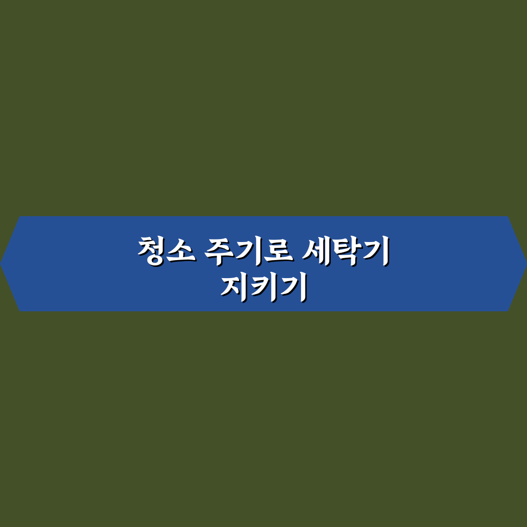세탁기 청소 주기 5포인트 핵심가이드와 관리 기준 총정리