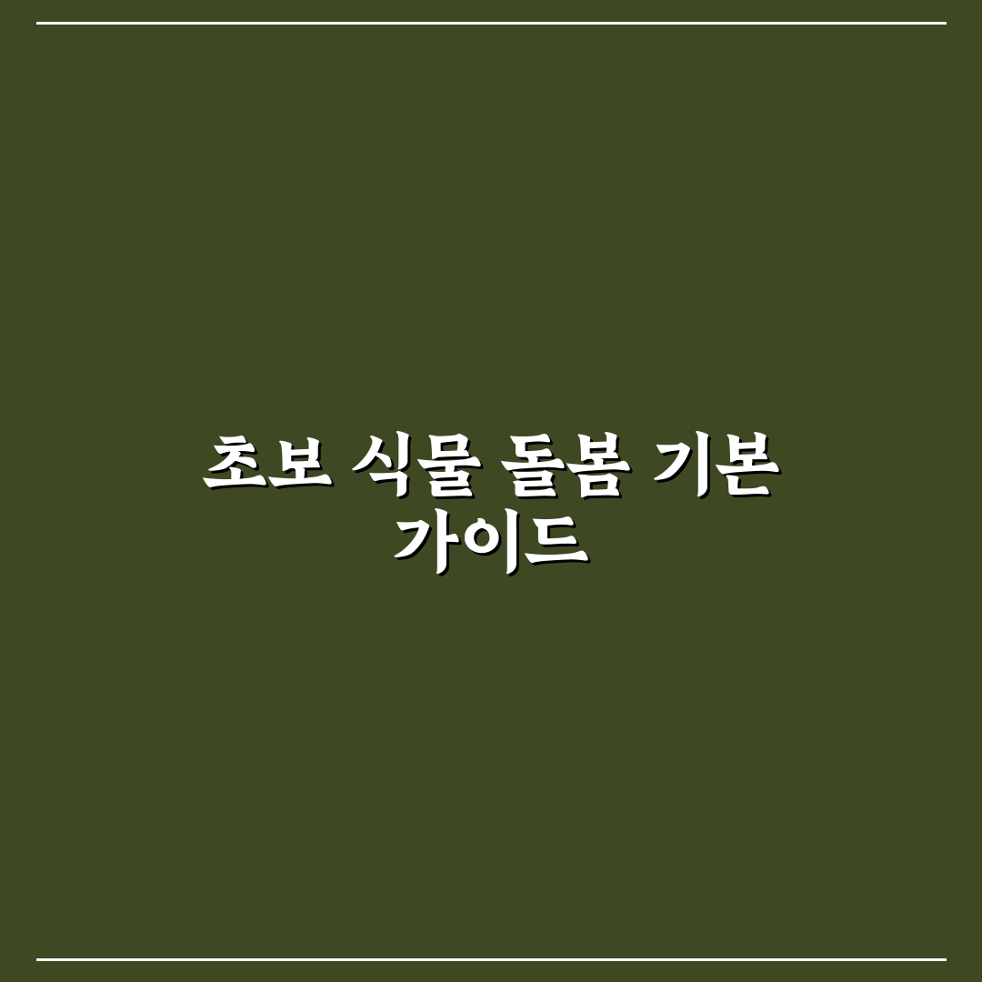 식물 키우기 초보 가이드 5가지 핵심 체크포인트 총정리
