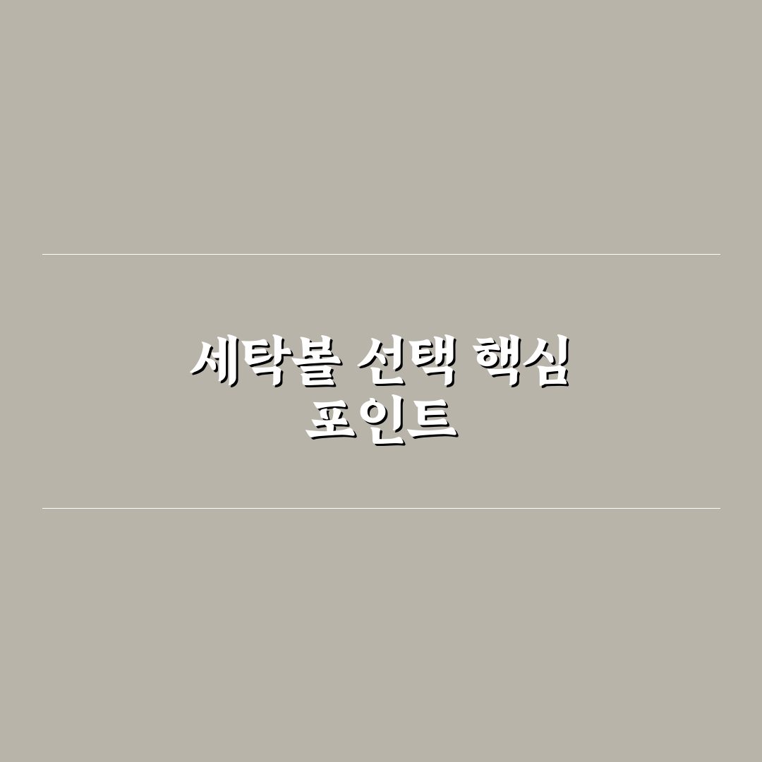 세탁볼 사용 후기 장단점 5포인트 심층분석 및 판단 기준