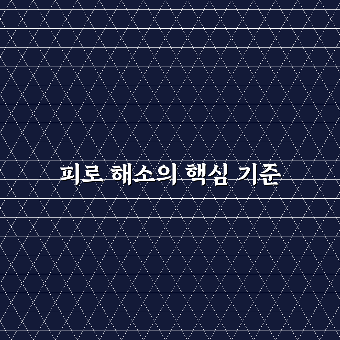 피로 회복 영양제 비교 5포인트 심층분석과 선택 기준 총정리