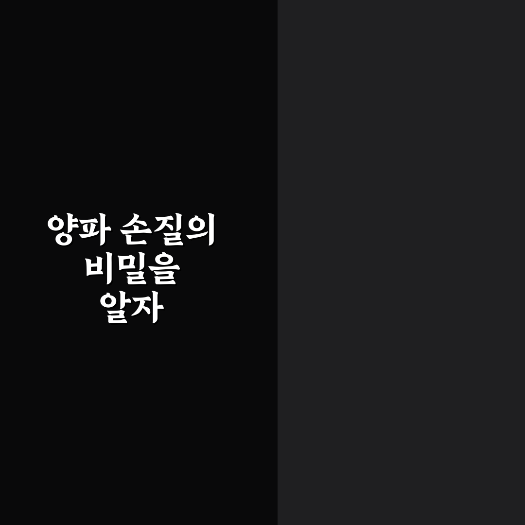 양파 썰 때 눈 안 맵게 하는 5가지 핵심가이드 총정리