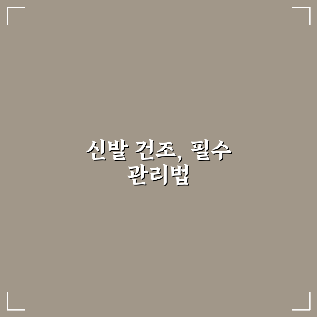 신발 건조기 추천 효과 심층분석과 5가지 판단 기준 총정리