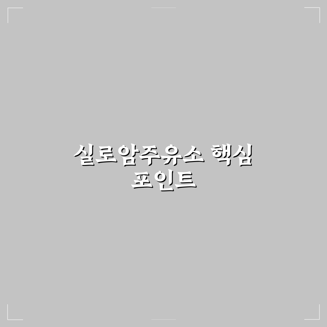 실로암주유소 서비스 품질과 가격 비교 총정리 5가지 기준