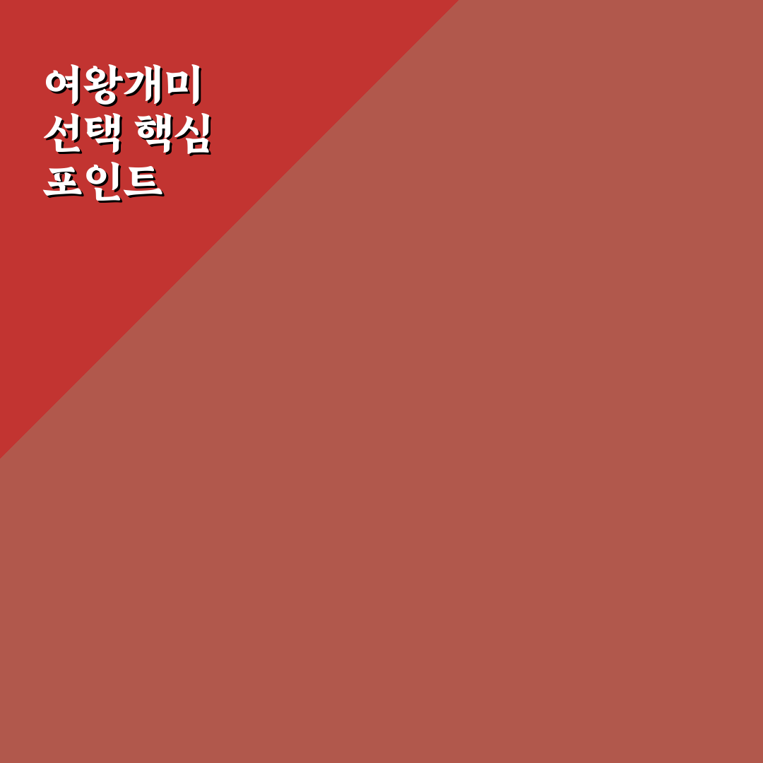 여왕개미 구매 가이드와 핵심 체크포인트 분석