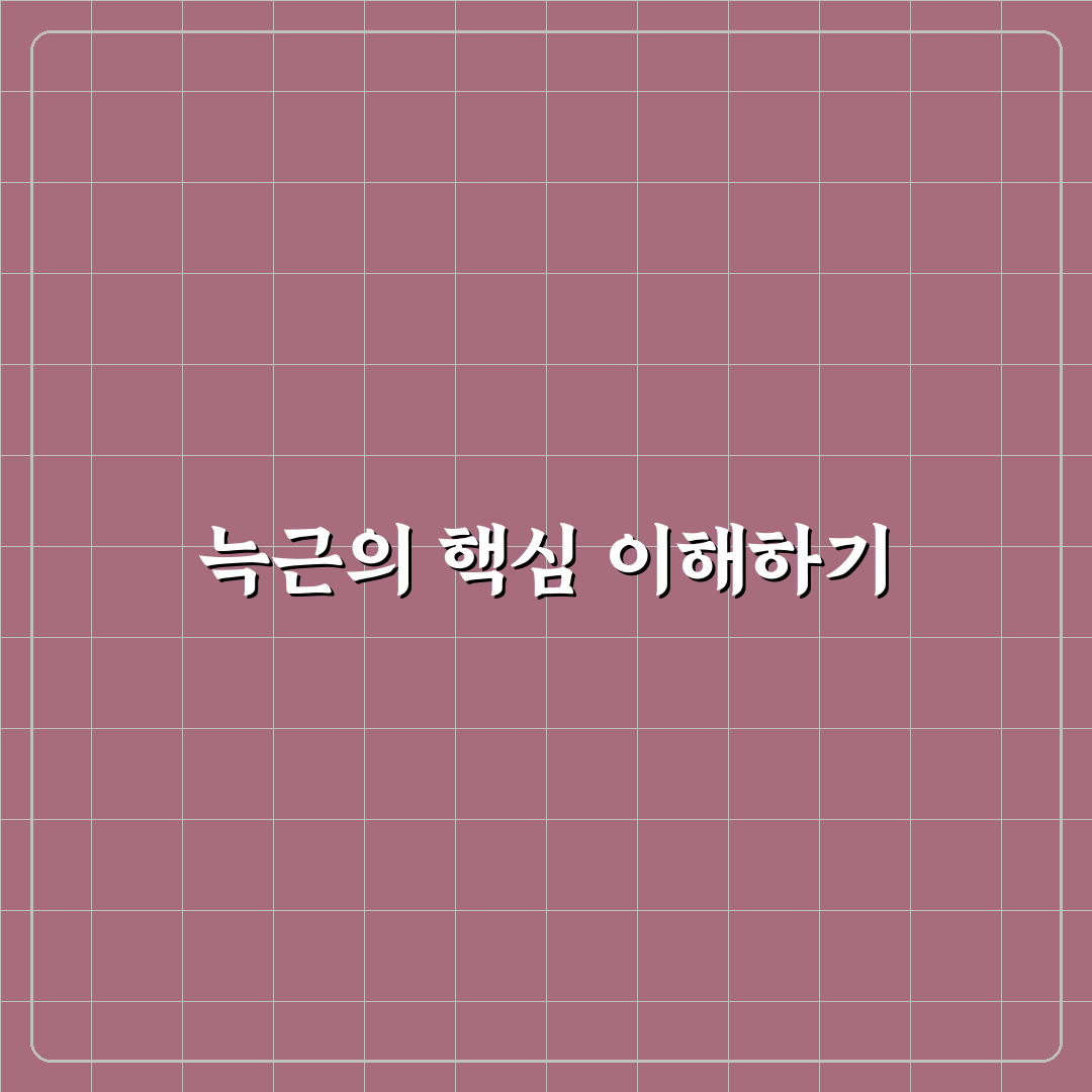 늑근 선택 가이드와 주요 부위별 비교 분석 총정리