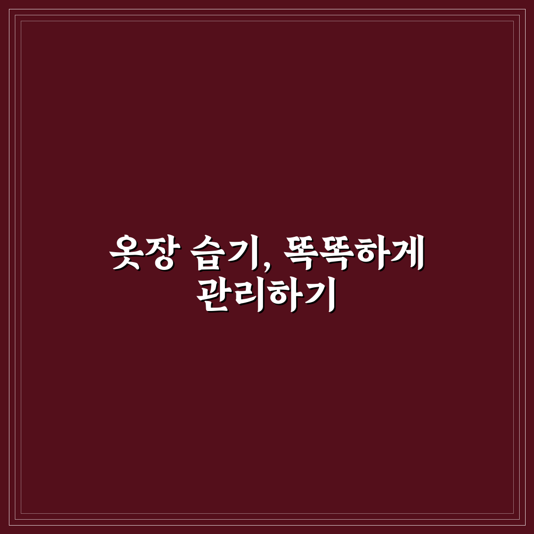 옷장 제습제 추천 7가지 핵심가이드와 선택 체크포인트