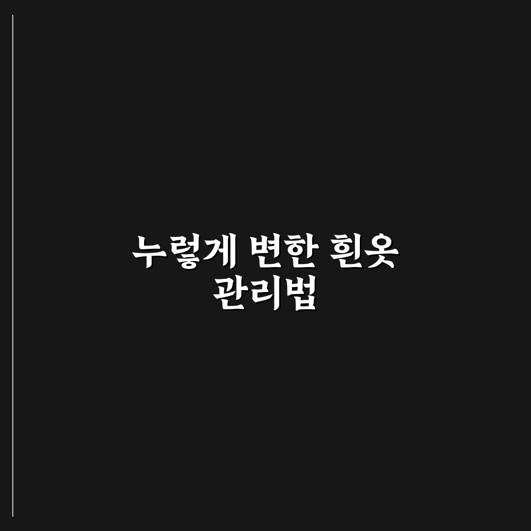 흰옷 누런 때 표백 방법 5가지 핵심가이드 비교와 판단 기준