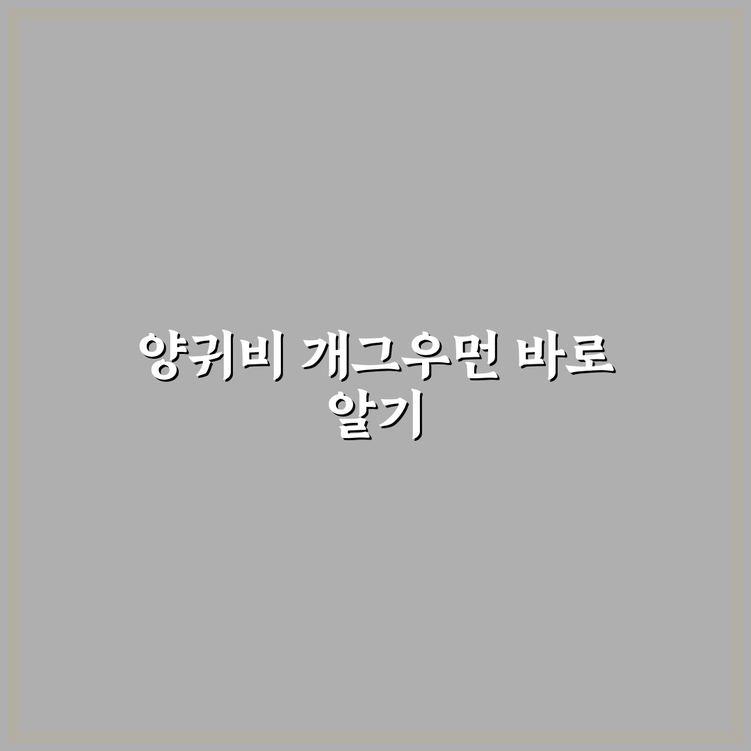 양귀비 개그우먼 활동과 이미지 변화 5가지 기준 분석