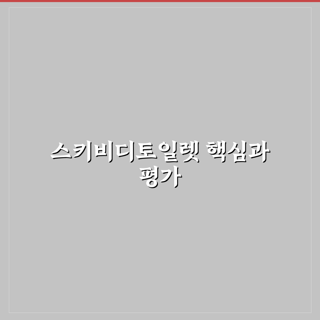 스키비디토일렛이름 맞추기 기준과 비교 분석 가이드