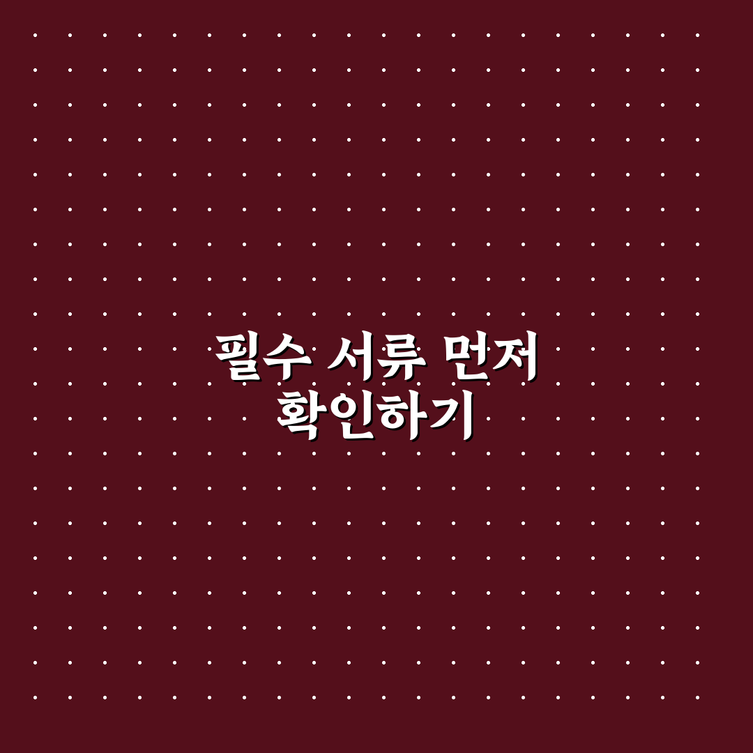 비자 신청 서류 안내 핵심가이드 7가지 체크포인트 분석