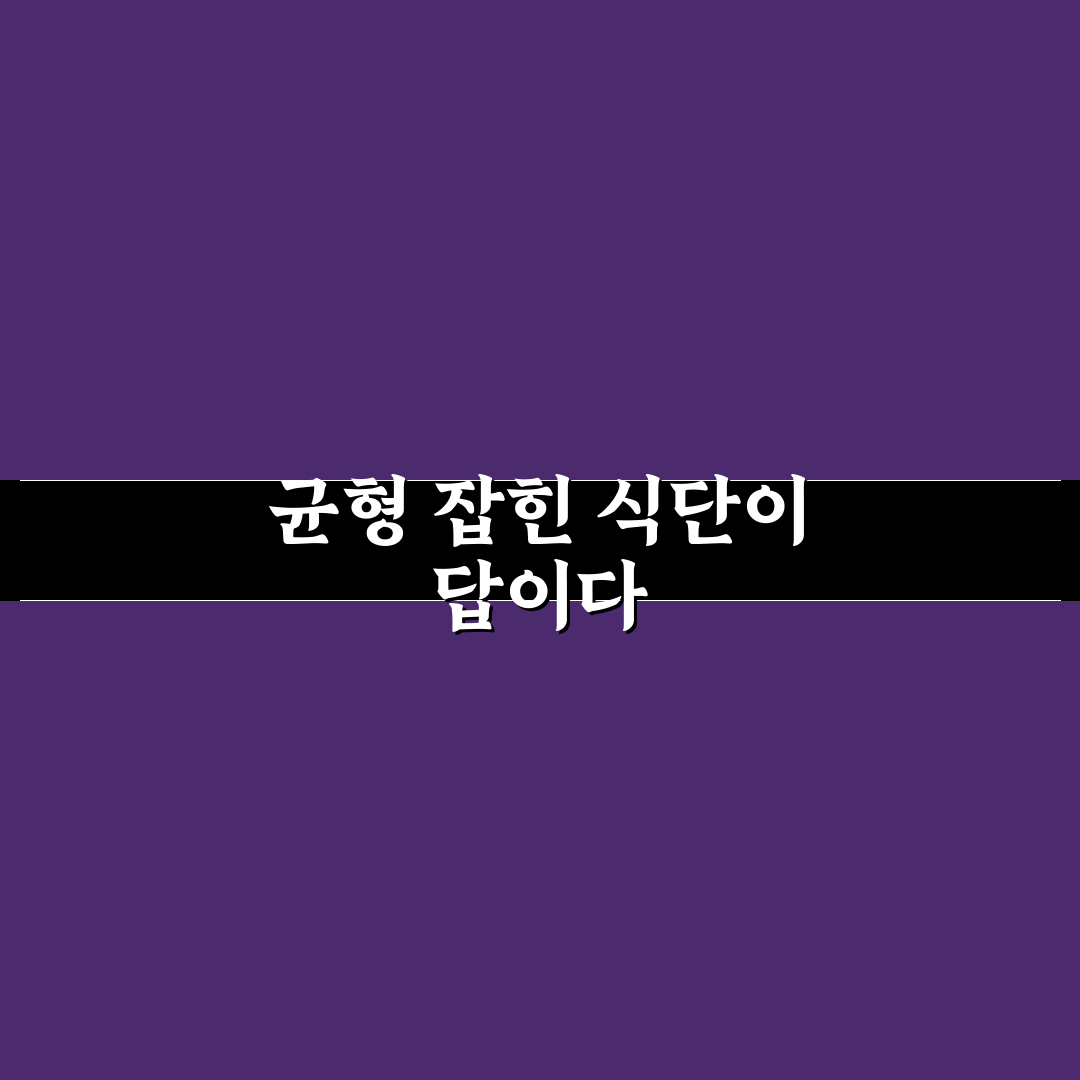 다이어트 식단 요리법 7가지 핵심가이드와 선택 기준 총정리