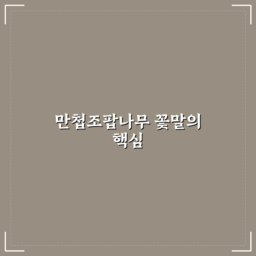 만첩조팝나무 꽃말 5가지 의미와 상황별 해석 가이드