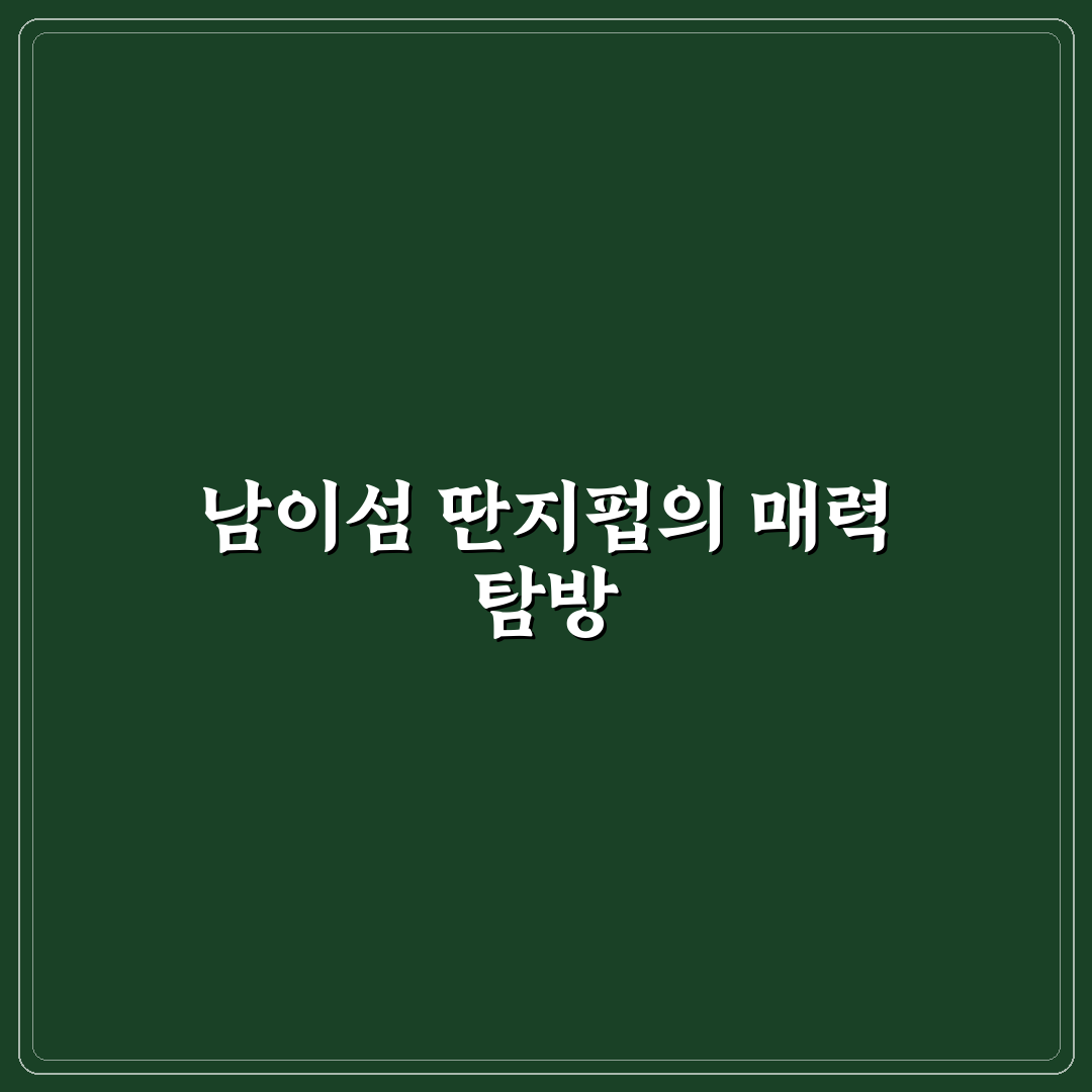남이섬 딴지펍 방문 꿀팁과 분위기 자세히 알려드려요