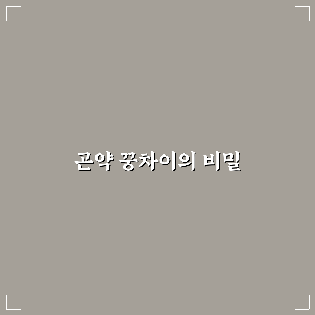 곤약 꿍차이 알아두면 좋은 추천 포인트 정리