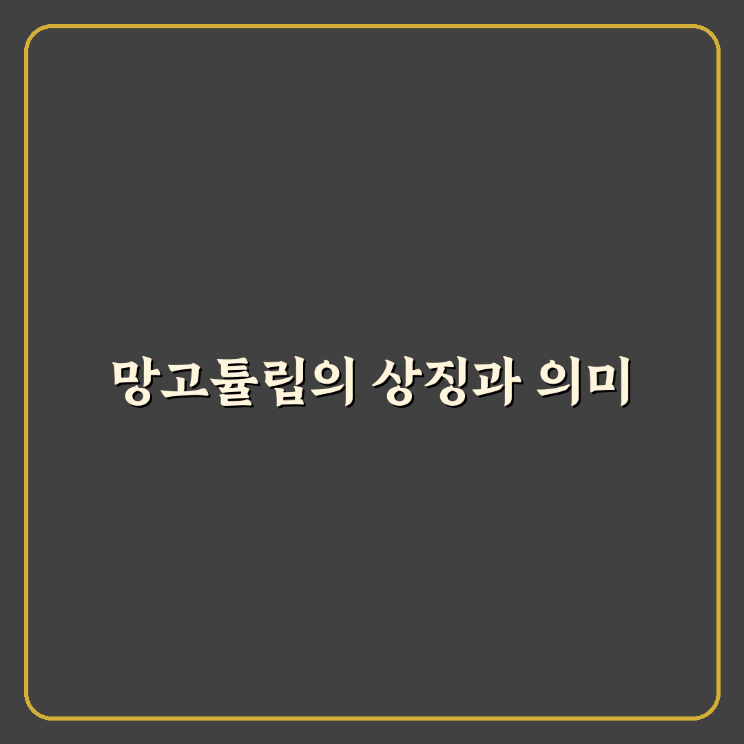 망고튤립 꽃말과 의미 쉽게 알려드려요