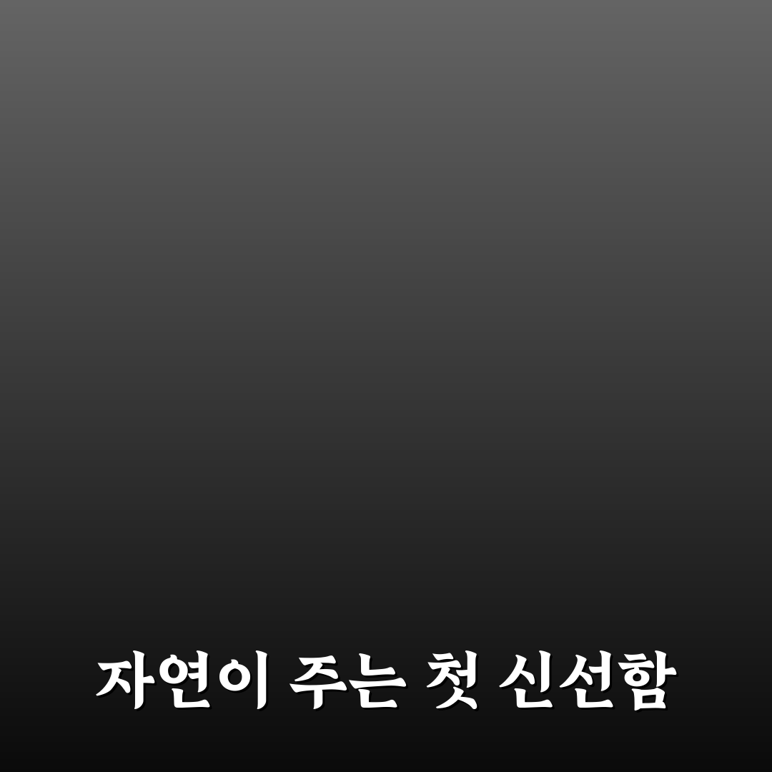 돈나물 돌나물 차이 직접 알아보니 헷갈린 점과 특징