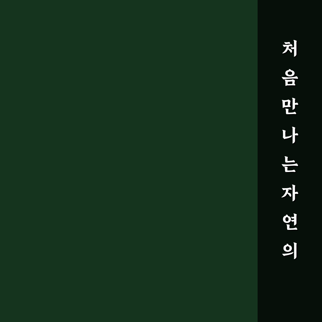 이팝나무 송화가루 사용 후기, 직접 써보니 알게 된 점