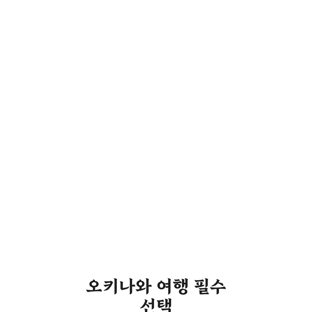 오키나와 타임즈 렌트카 이용 꿀팁과 후기 정리