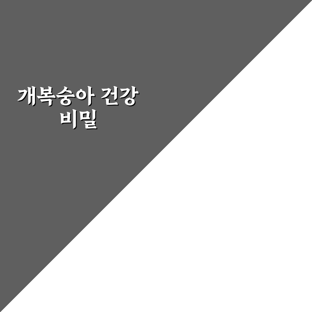 개복숭아 효능 먹는법과 꿀팁 쉽게 알려드려요