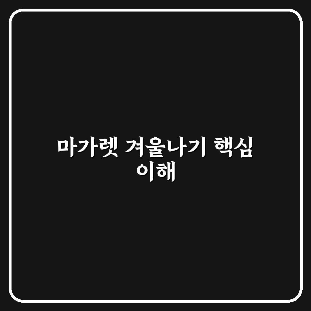 마가렛 꽃 월동 방법과 꿀팁 쉽게 알려드려요