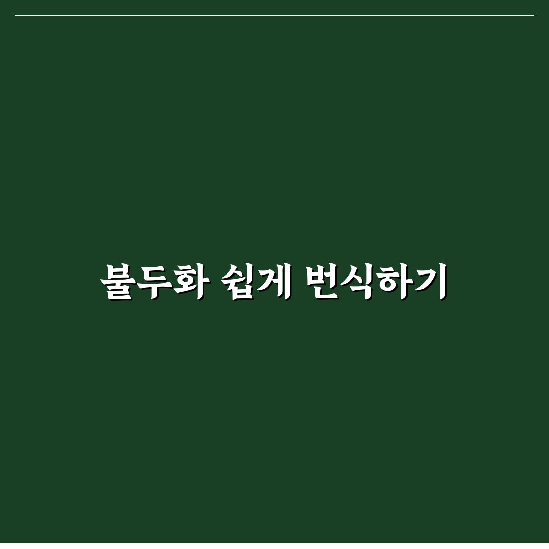 불두화 번식방법과 꿀팁 쉽게 배우는 초보 가이드
