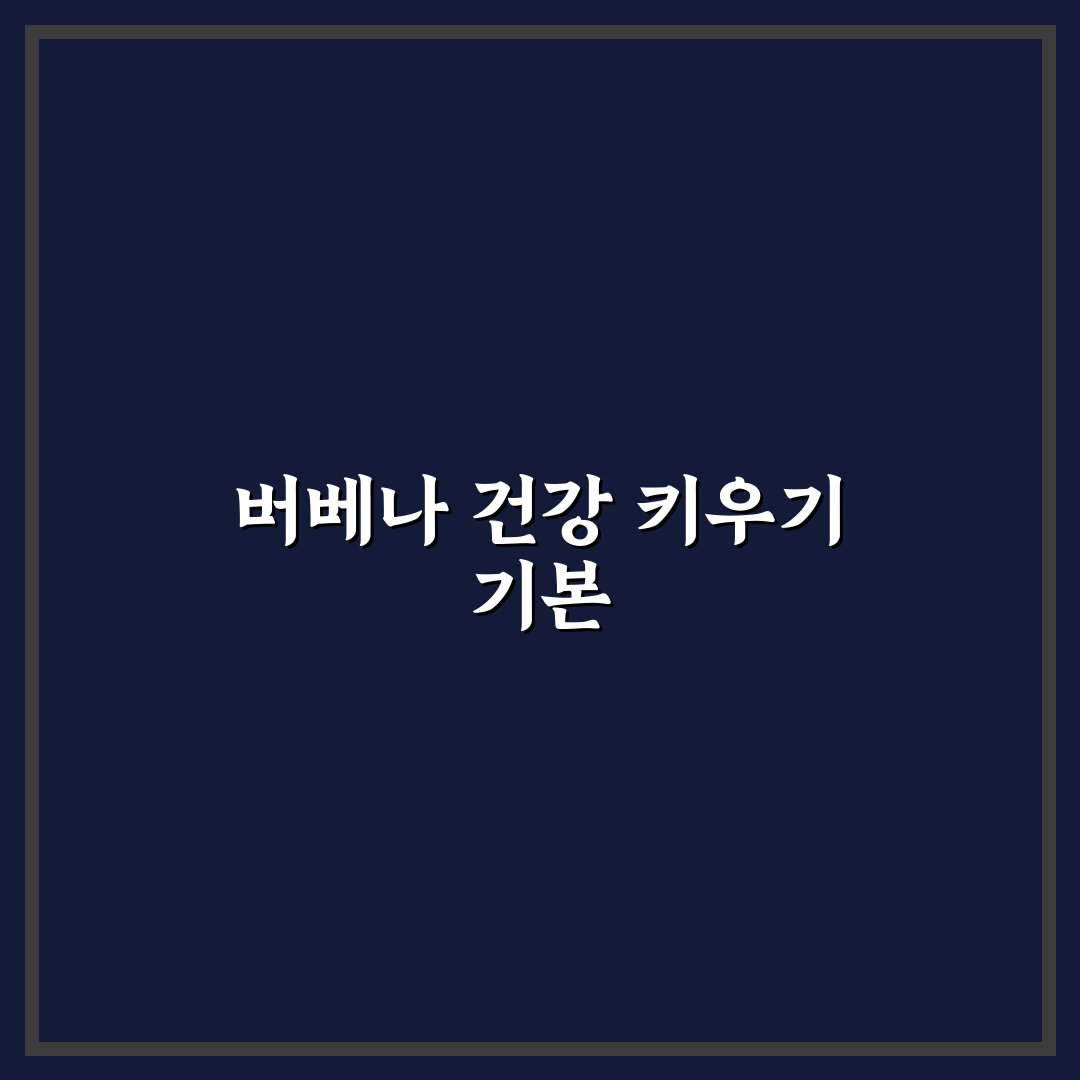 버베나 꽃 키우는법 쉬운 꿀팁과 관리 방법 공유