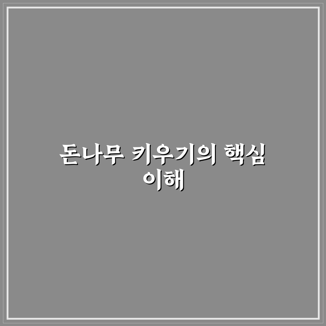돈나무 키우기우는법 초보자를 위한 꿀팁 정리