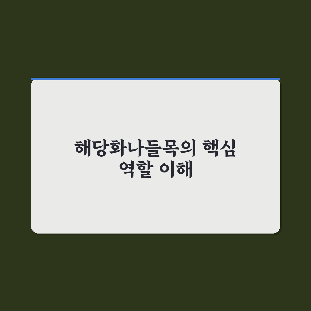 해당화나들목 이용 꿀팁과 주변 정보 정리