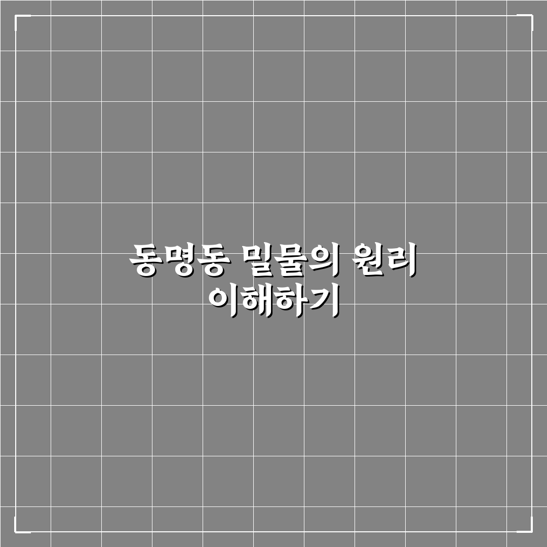 동명동 밀물 시간과 현황 정리 초보자 꿀팁