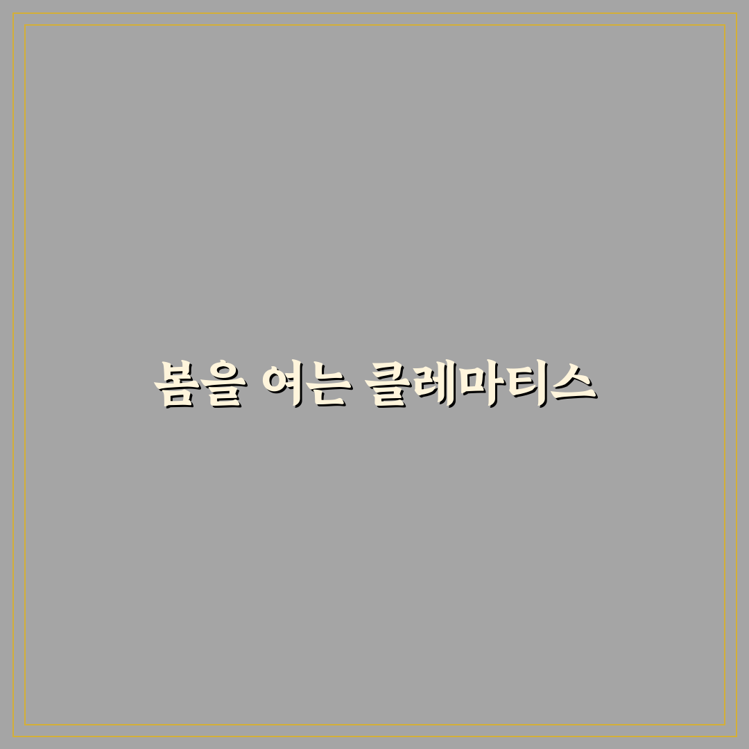 클레마티스 꽃 피는 시기 직접 알아보니 계절별 변화가 궁금했어요