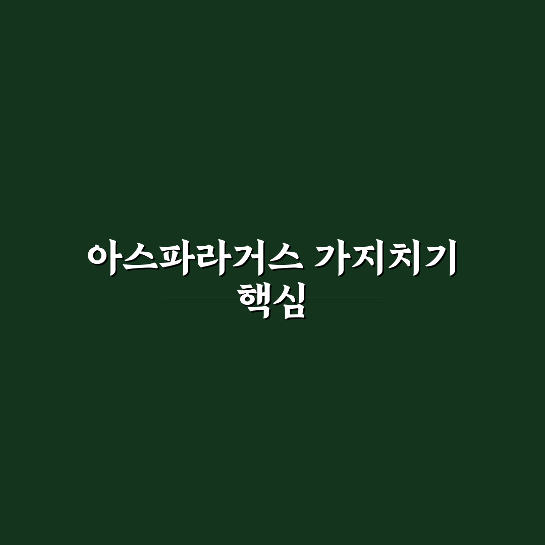 아스파라거스 메이리 가지치기 기준과 효과 비교 총정리
