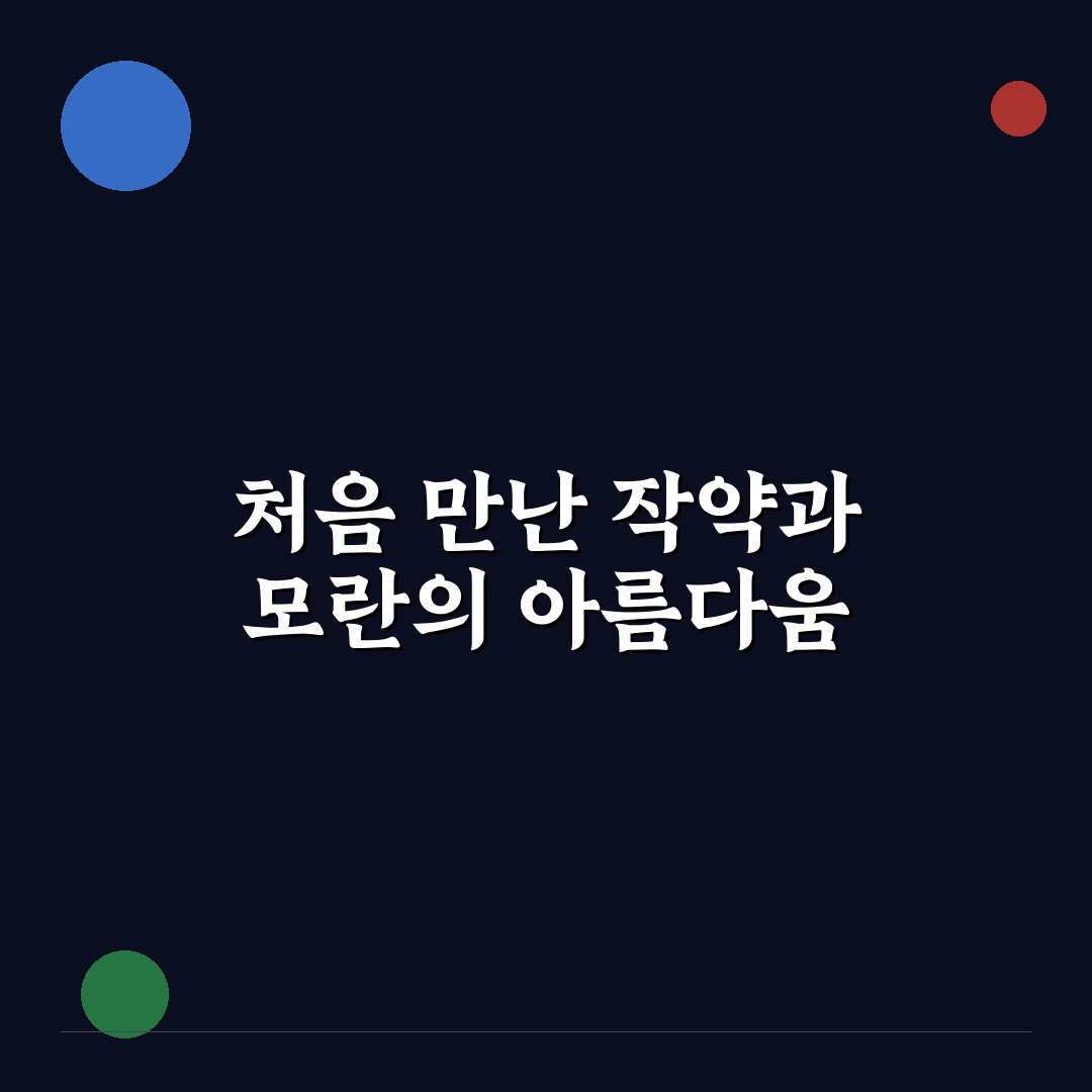 작약과 모란 차이점 직접 알아보니 달랐던 점들