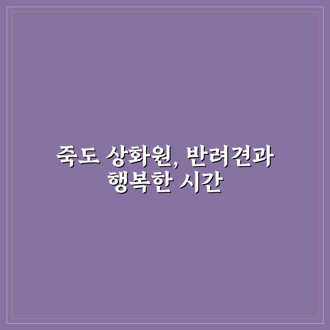 죽도 상화원 애견동반 방문 방법과 꿀팁 정리