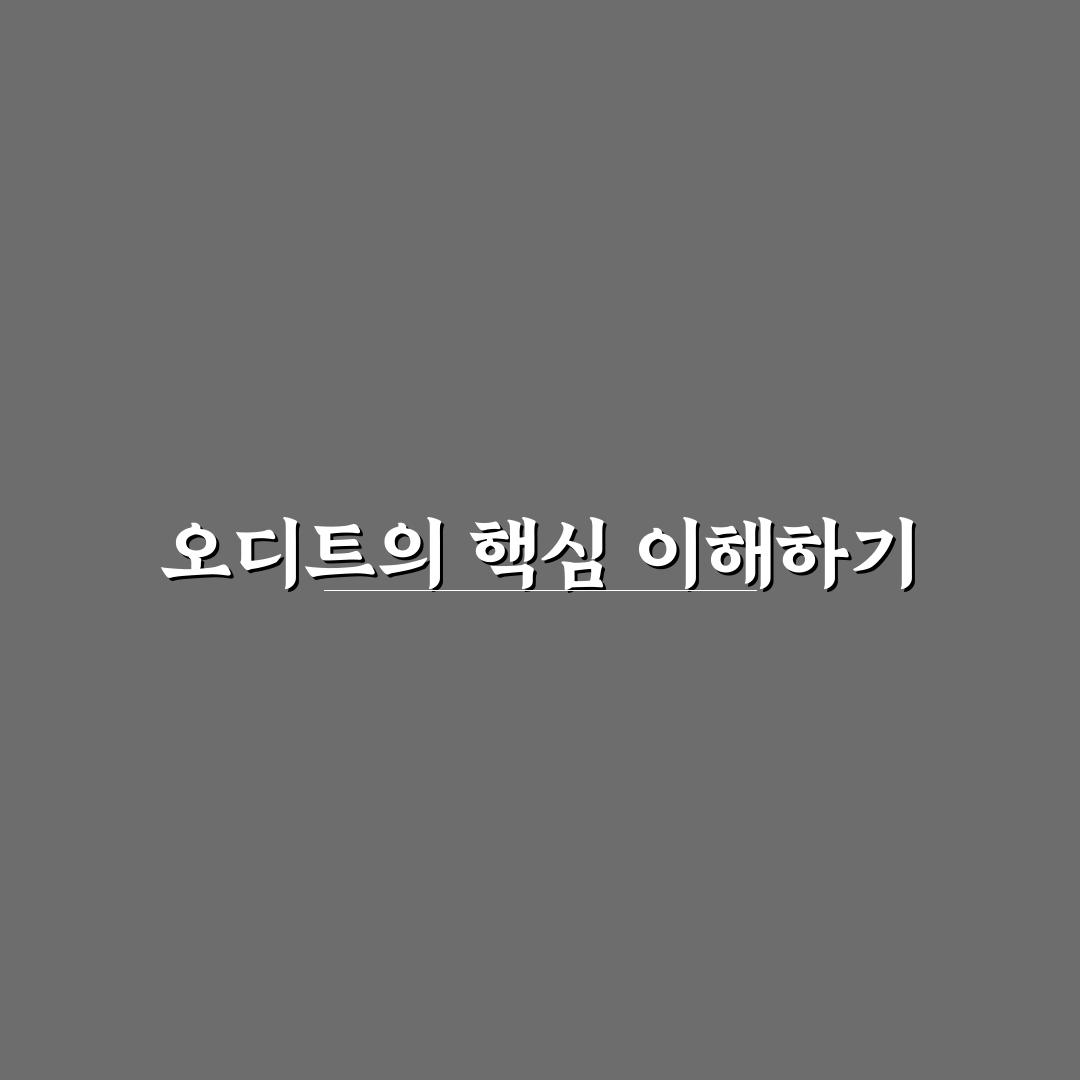 오디트 기본 개념과 활용법 쉽게 알려드려요