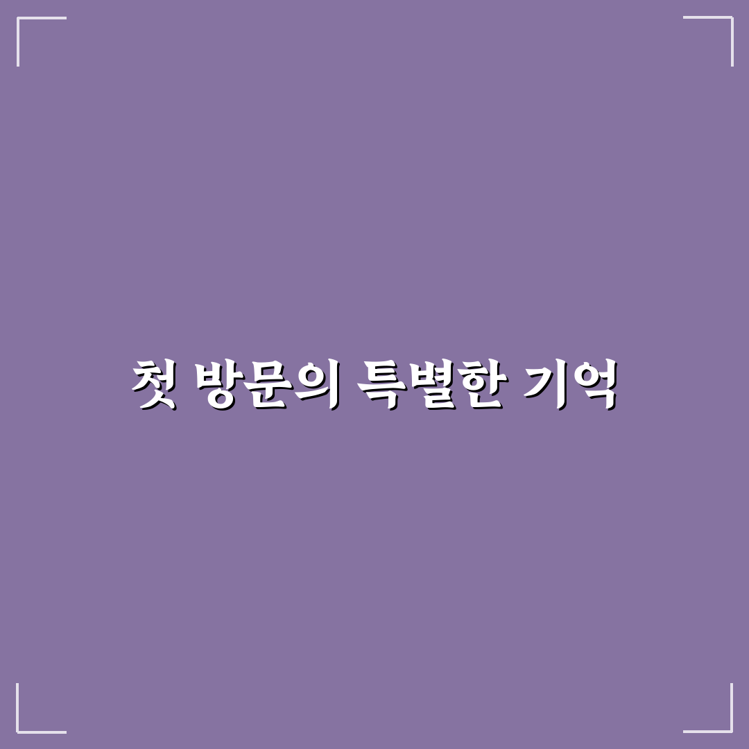 다이소 시흥사거리점 방문 후기, 매장 분위기 직접 가보니