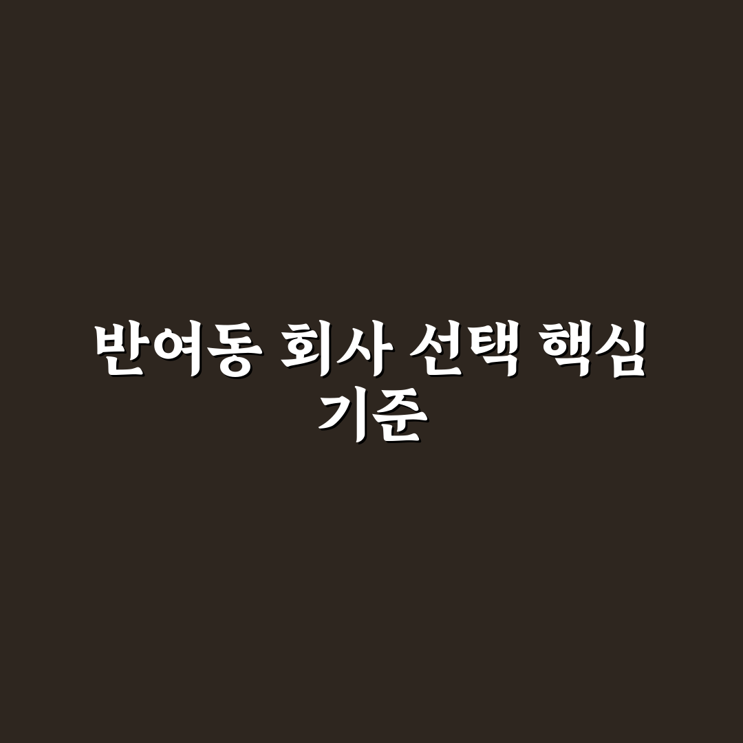 반여동 회사랑 선택을 위한 5가지 비교 기준 총정리