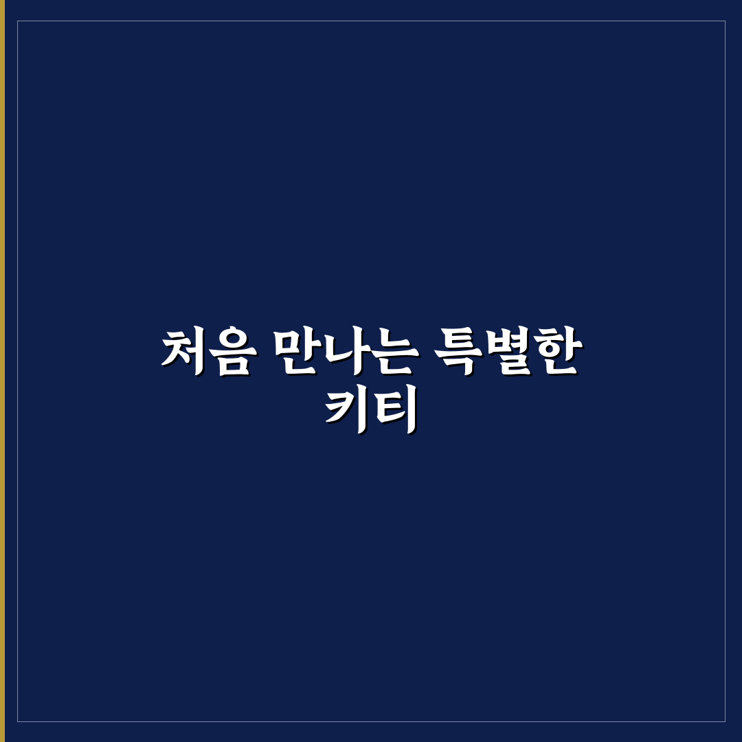 딜라이트풀 키티 사용 후기, 직접 써보니 느낌은?